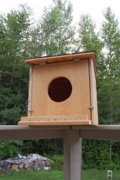 Barn Owl House (FREE SHIPPING)
