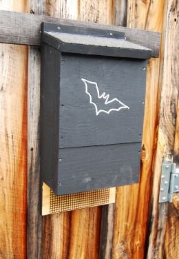 Our Number One Seller, Small Mini Bat House, 2&3 Chamber and NOW 4 Chamber . $5.00 Shipping.
